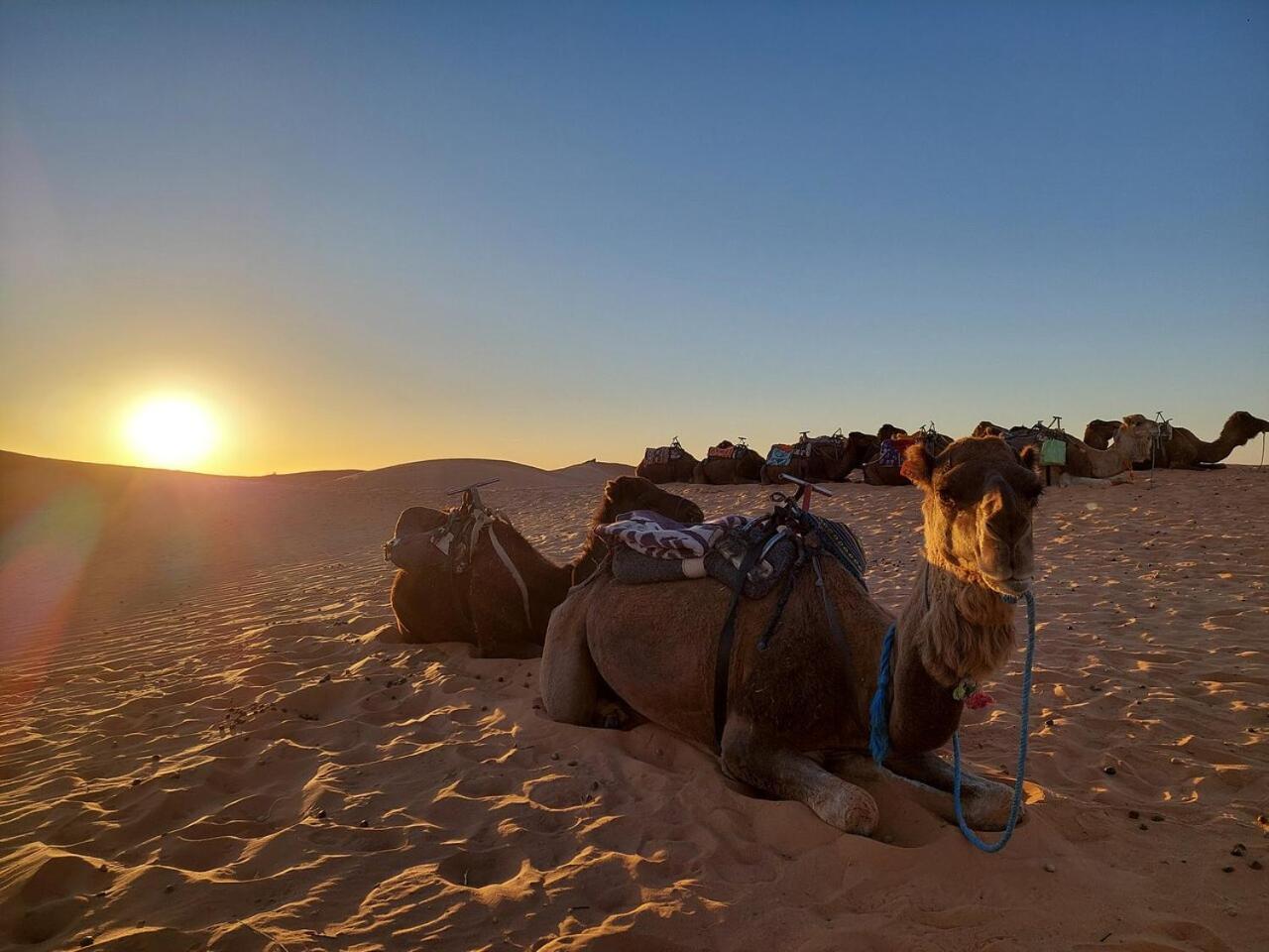 Desert Experience Glamping Hotell Merzouga Exteriör bild